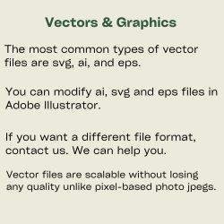 Graphics and Vectors